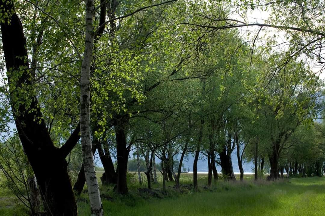 ジェーラ・ラーリオ Cascina Borgofranconeアパートホテル エクステリア 写真